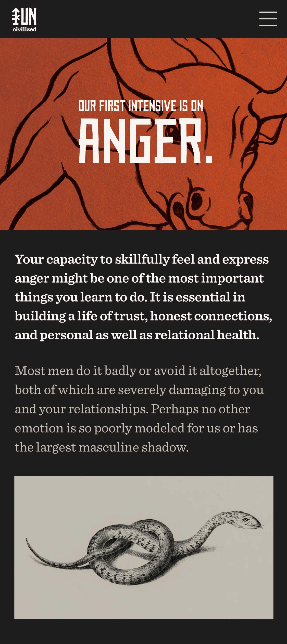 mobile-btm-anger-04-2